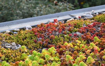 the cost of Satron green roof installation