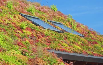 Satron living roof systems